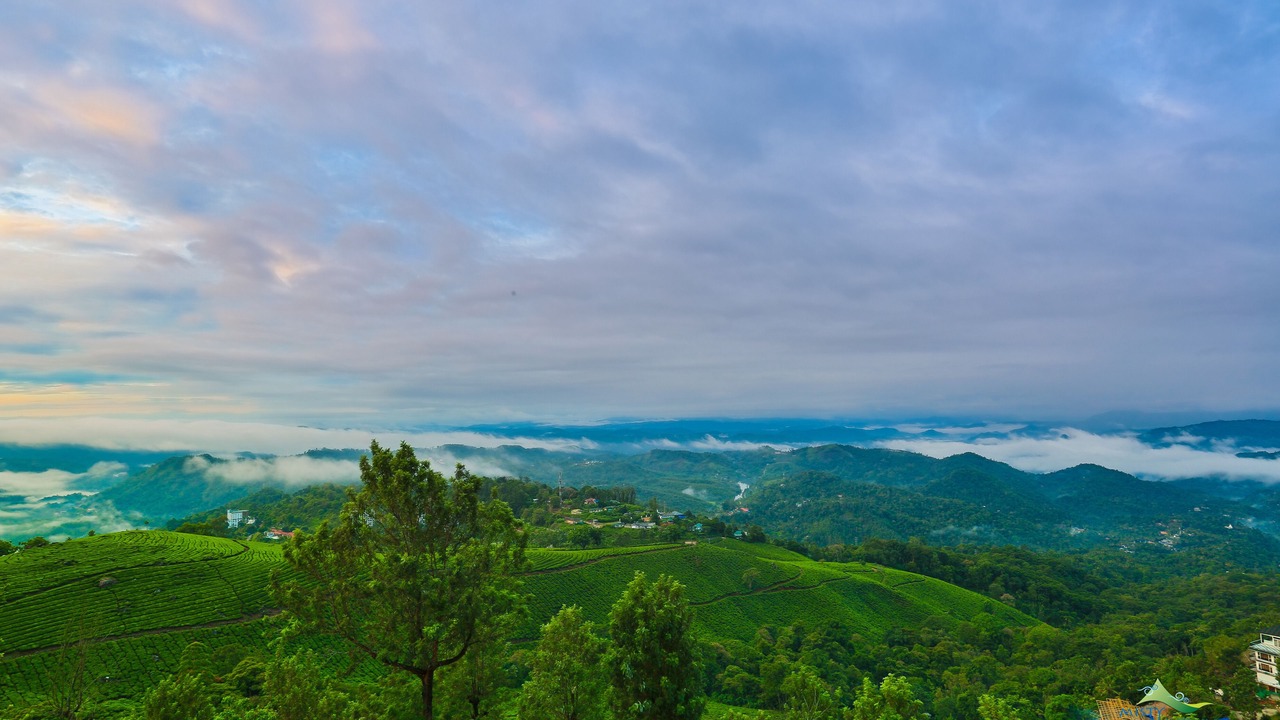 Photo of Outdoor in Moolakadai