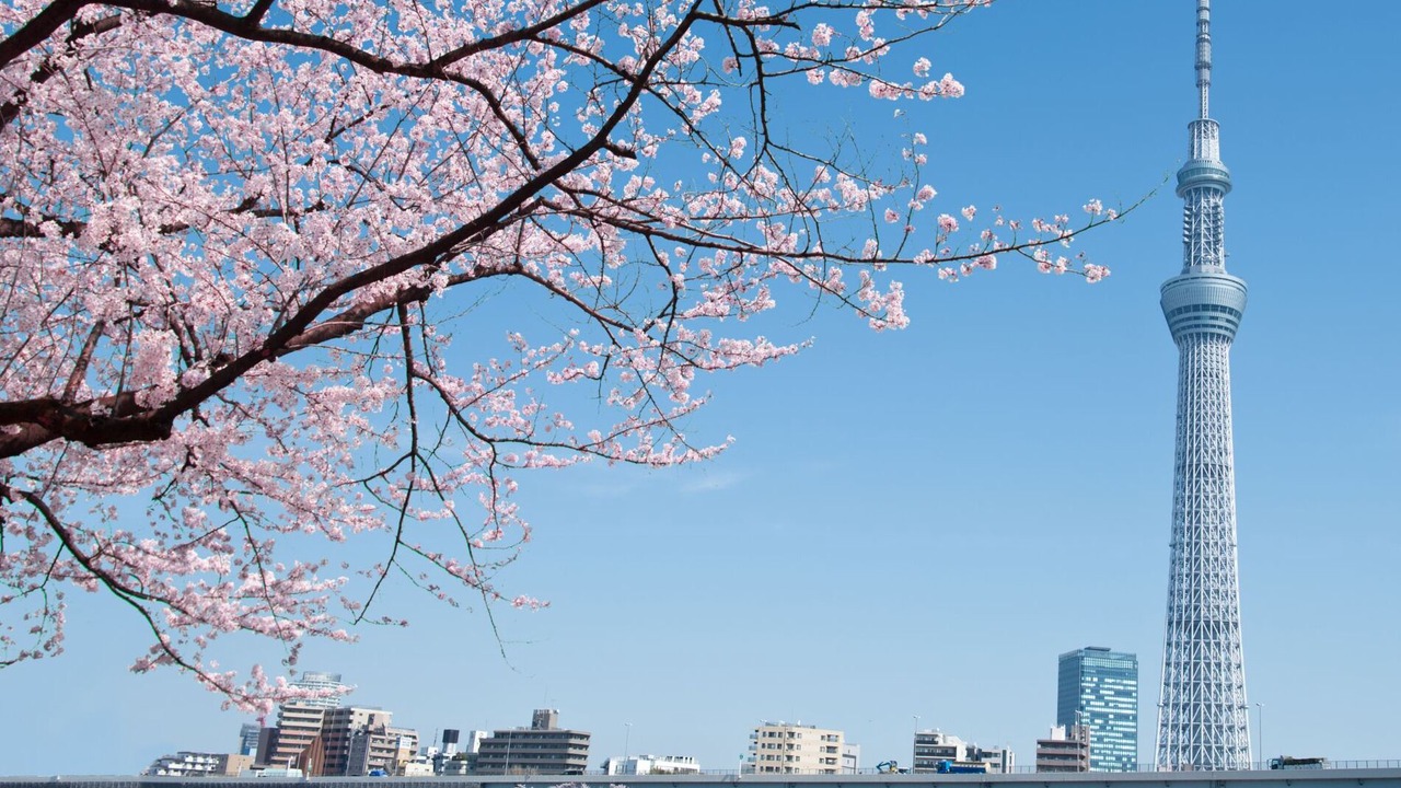 Photo of Others in Yotsuya