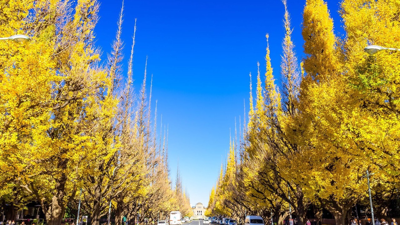 Photo of Others in Yotsuya
