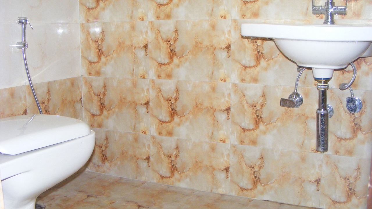 Photo of Bathroom in Amer Fort Road