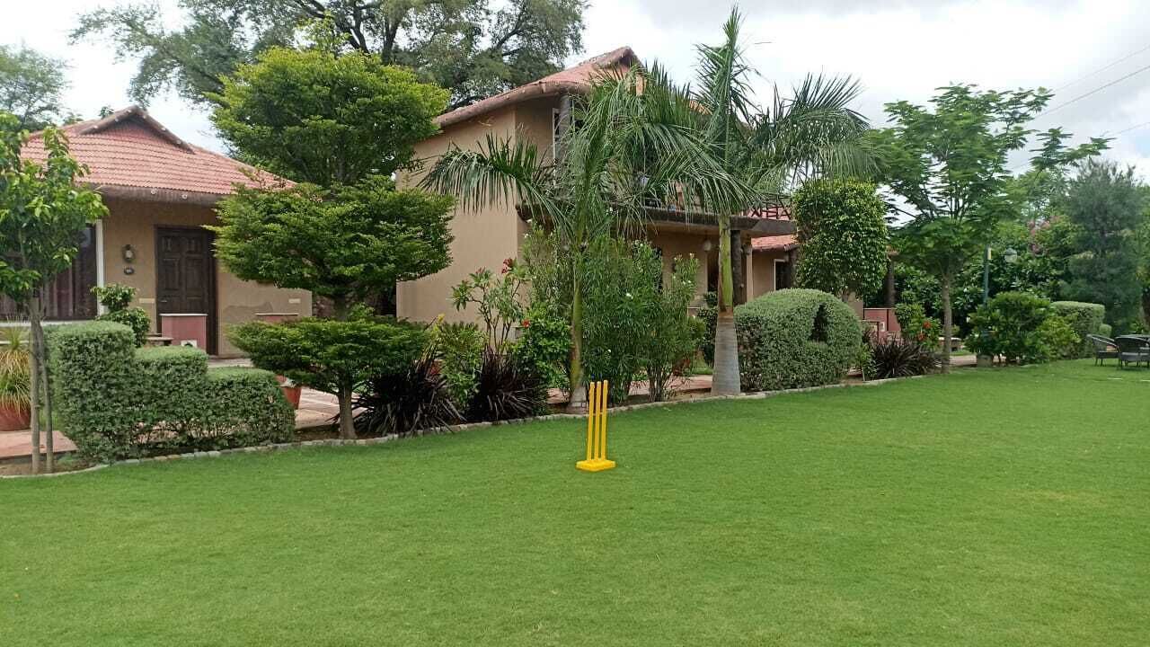 Photo of Outdoor in Amer
