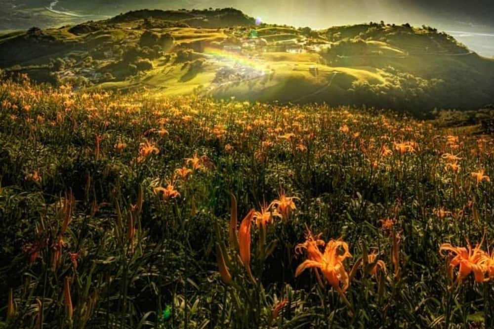 Photo of Outdoor in Xincheng