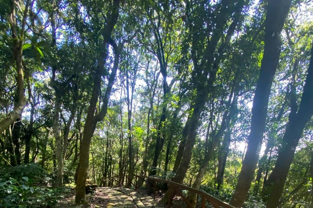 Photo of Outdoor in Shilin