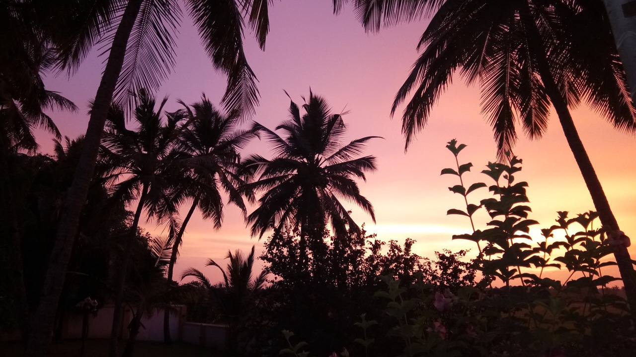 Photo of Outdoor in Majorda
