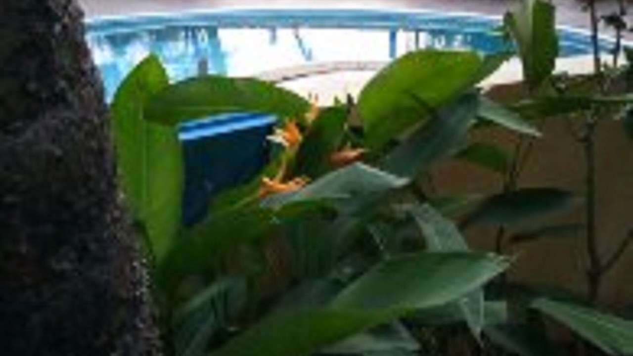 Photo of Outdoor in Majorda