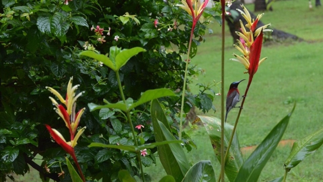 Photo of Outdoor in Majorda