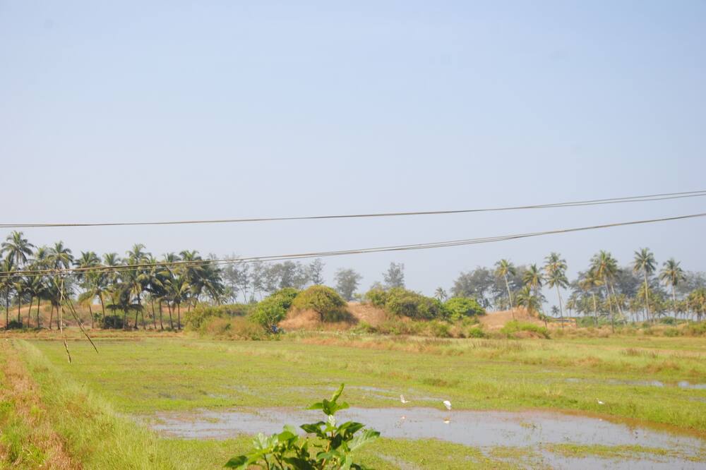 Photo of Others in Betalbatim