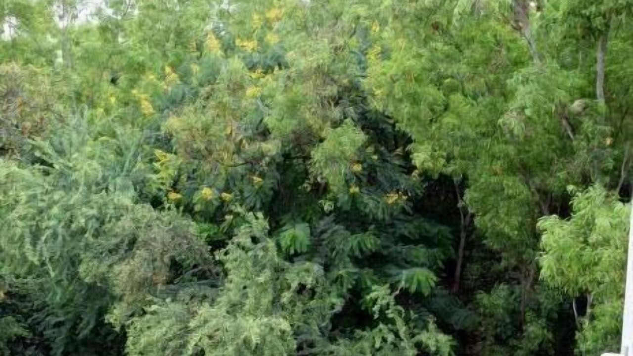 Photo of Patio Balcony in Bilekahalli