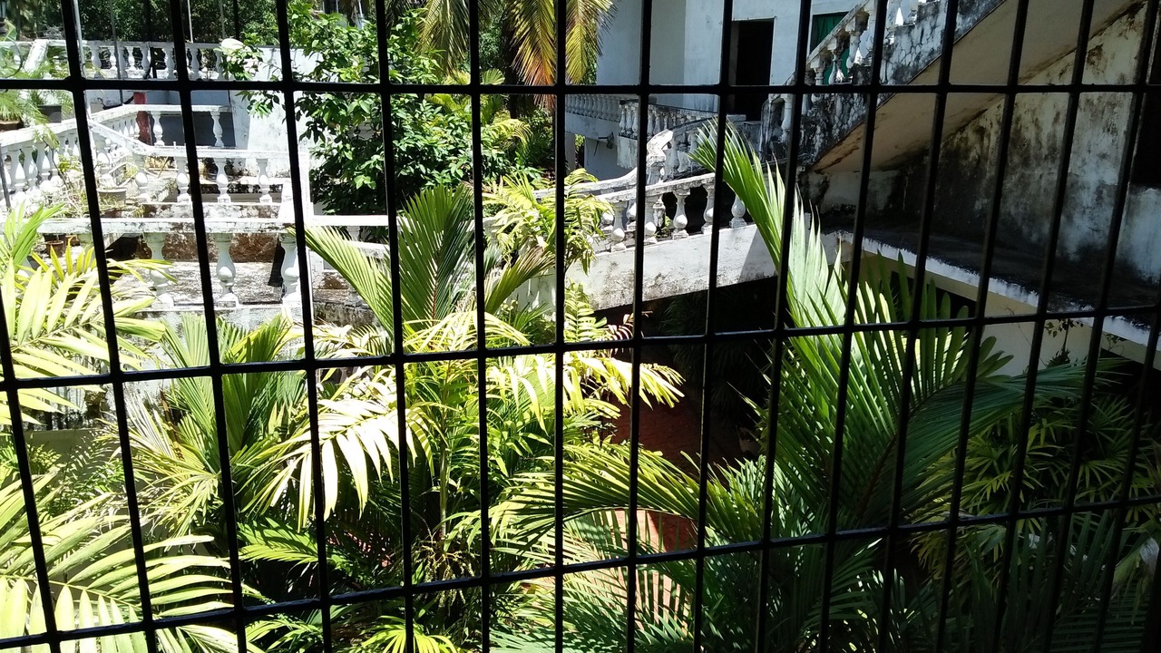 Photo of Outdoor in Parra
