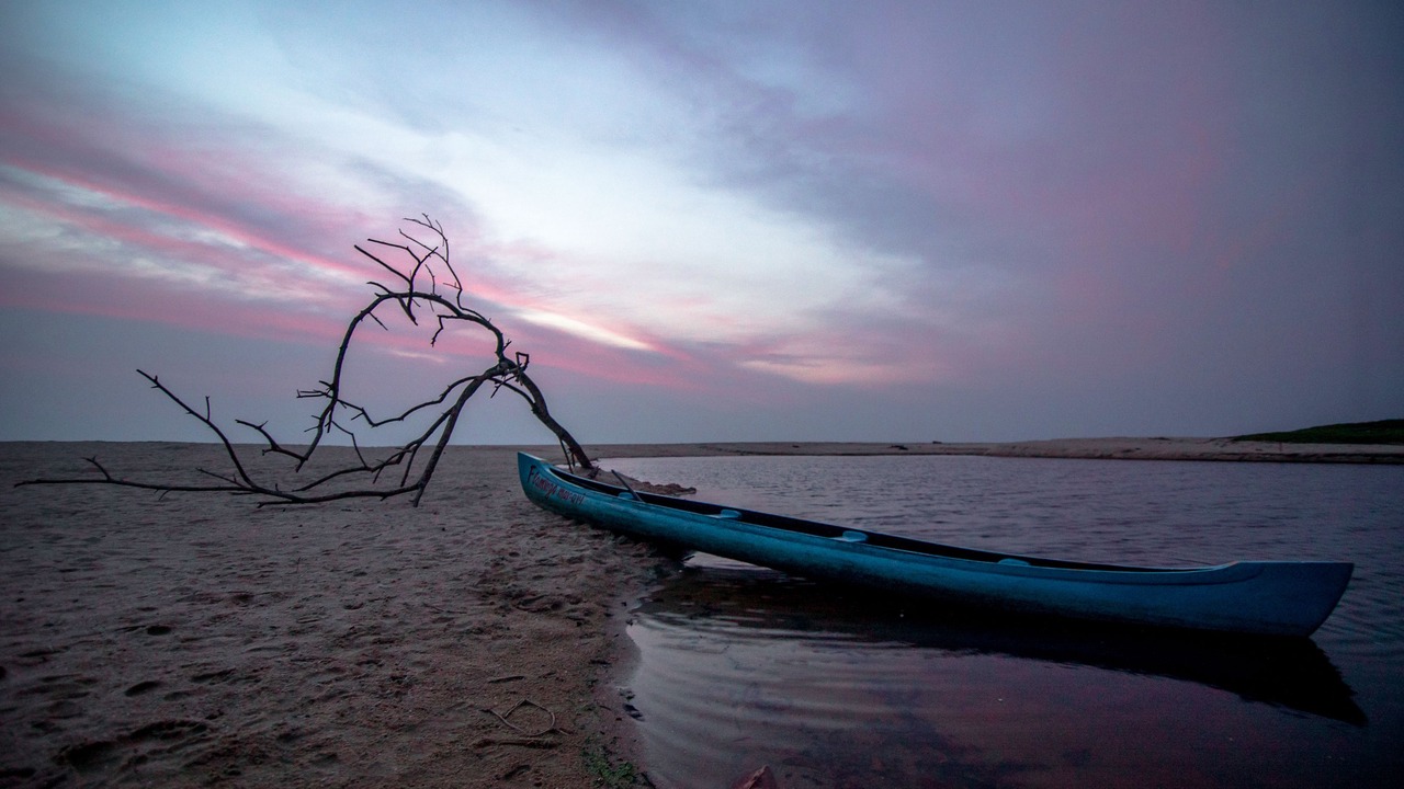 Photo of Others in Alappuzha