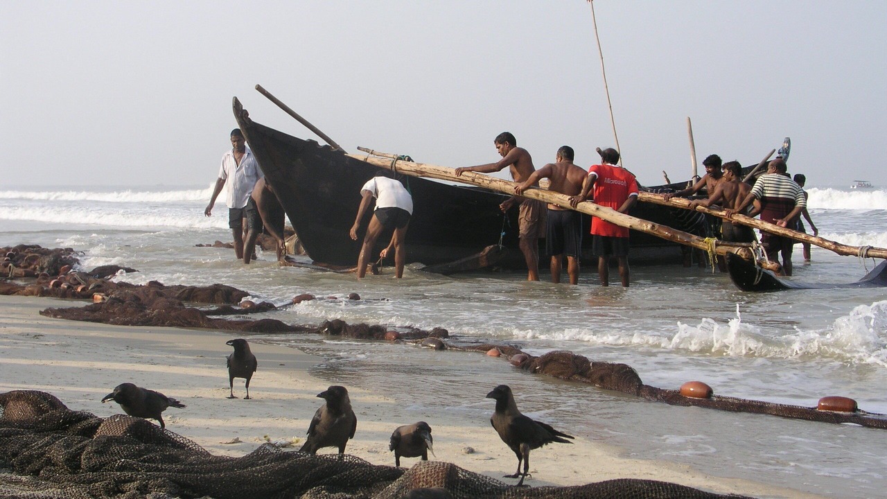 Photo of Others in Betalbatim