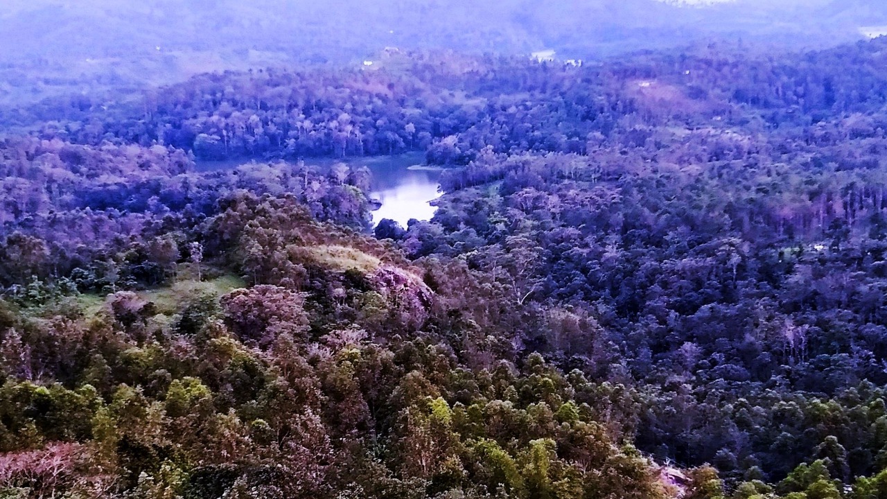 Photo of Outdoor in Suryanelli