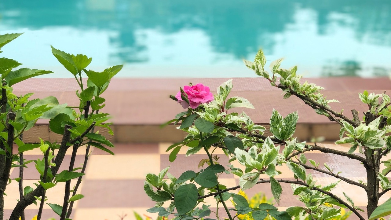 Photo of Outdoor in Nerul