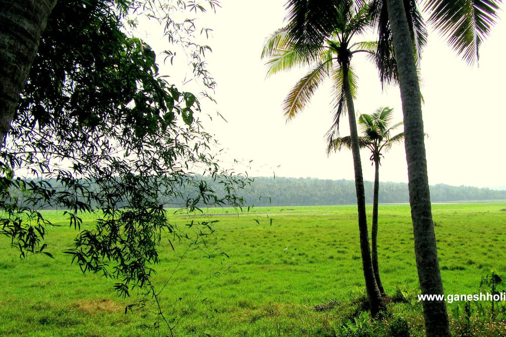 Photo of Others in Venganoor