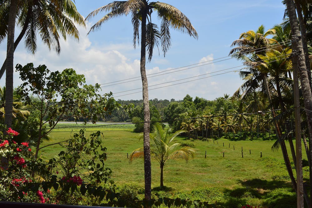 Photo of Outdoor in Venganoor