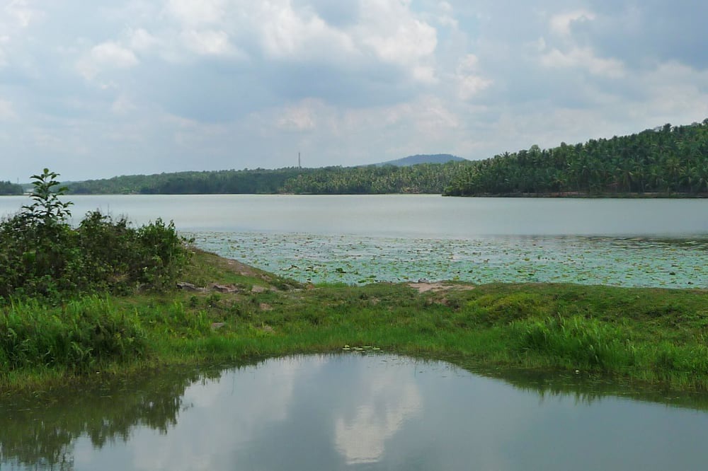 Photo of Outdoor in Venganoor