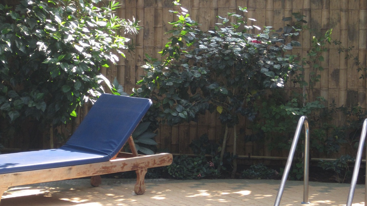 Photo of Outdoor in Betalbatim