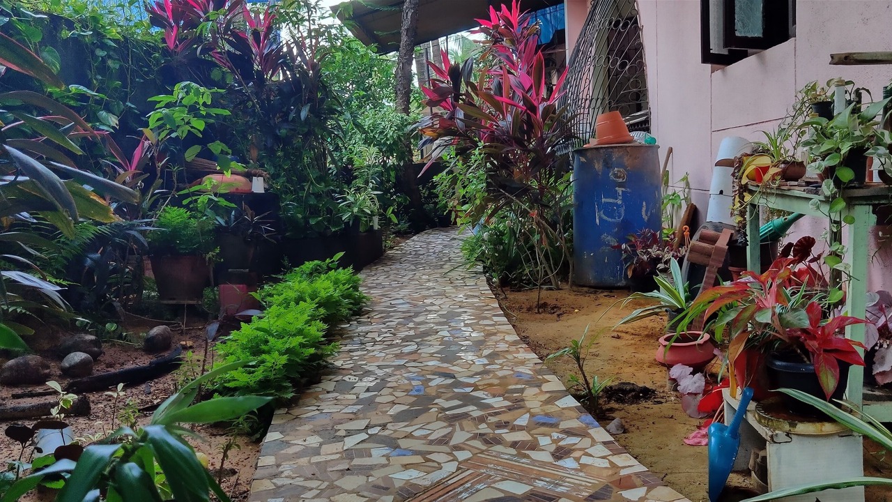 Photo of Outdoor in Vanelim