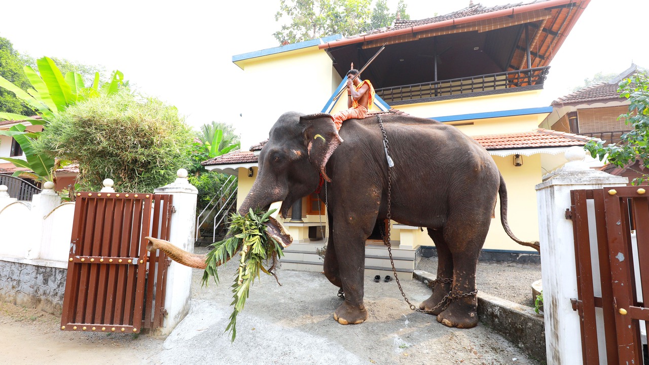 Photo of Outdoor in Aranmula