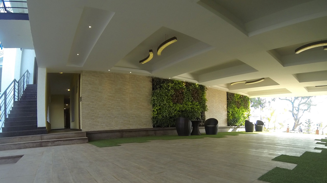 Photo of Outdoor in Siolim