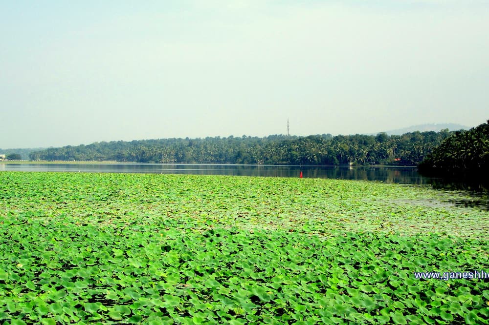 Photo of Others in Venganoor