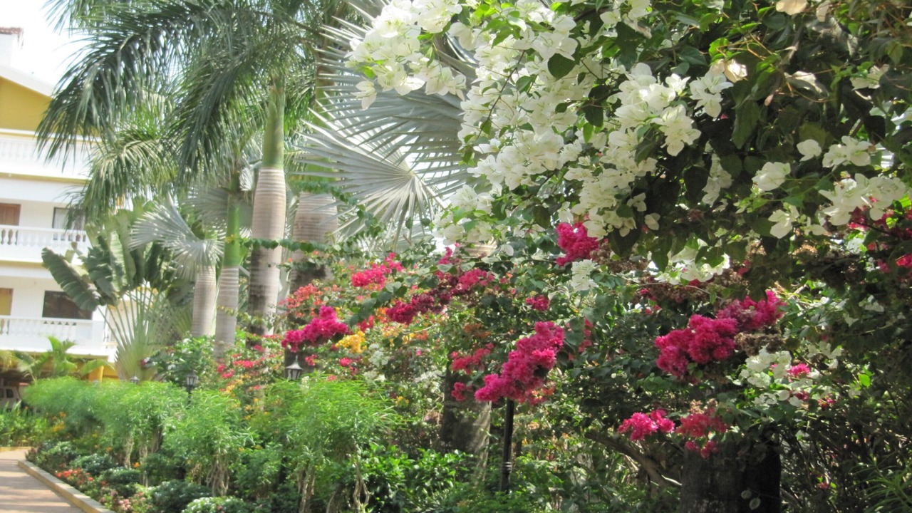 Photo of Outdoor in Betalbatim