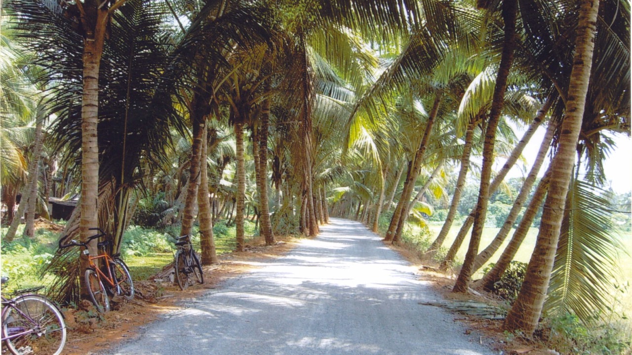 Photo of Outdoor in Betalbatim