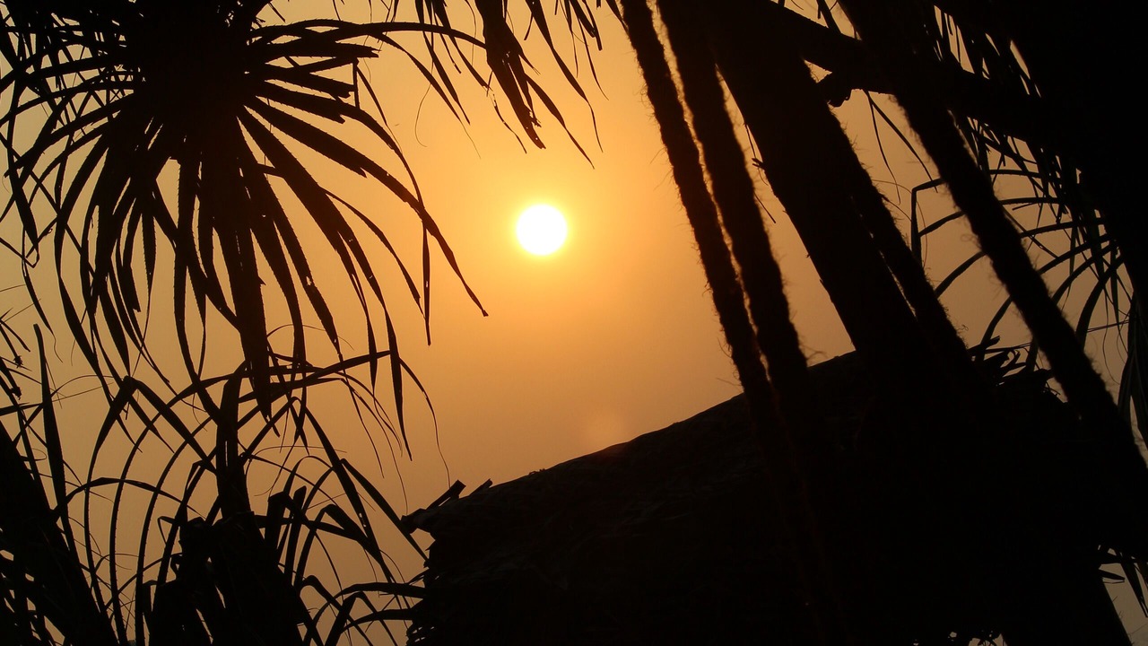 Photo of Outdoor in Patnem