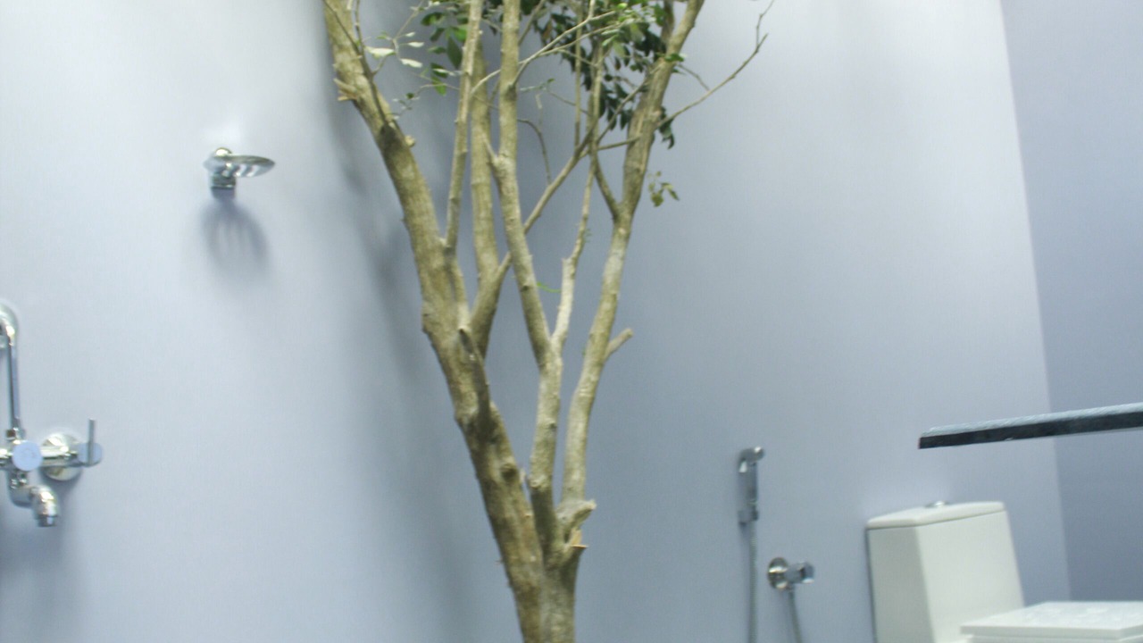Photo of Bathroom in Patnem
