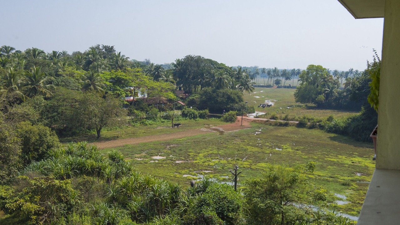 Photo of Outdoor in Benaulim