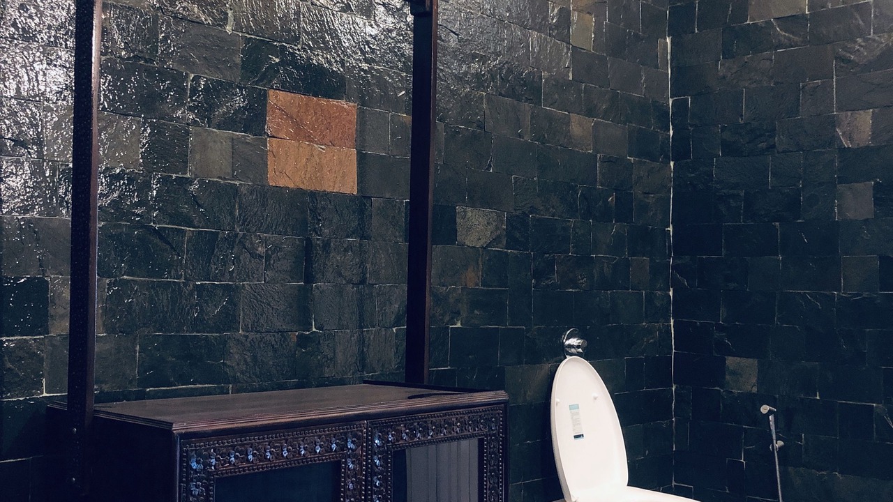 Photo of Bathroom in Udaipur District