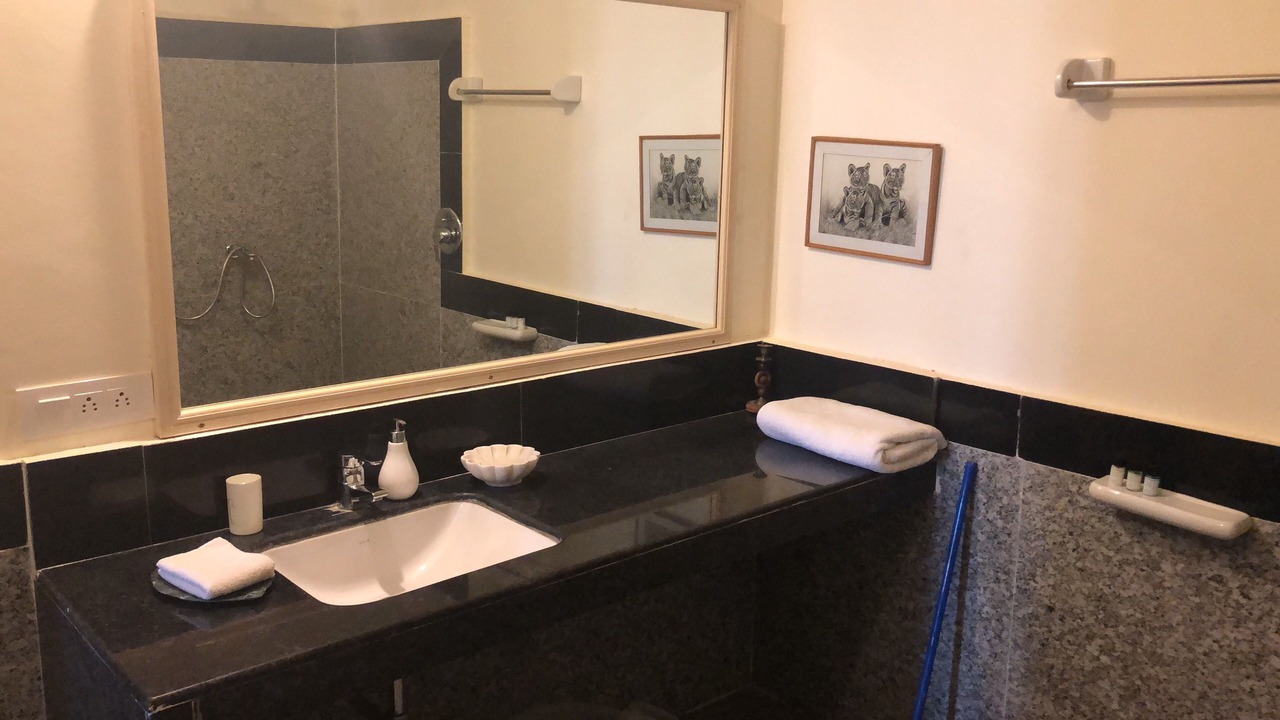 Photo of Bathroom in Udaipur District