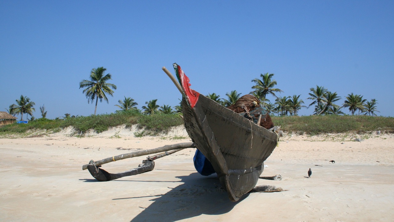 Photo of Others in Orlim