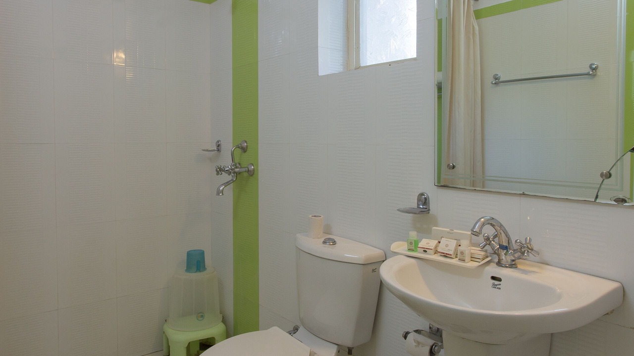 Photo of Bathroom in Udaipur District