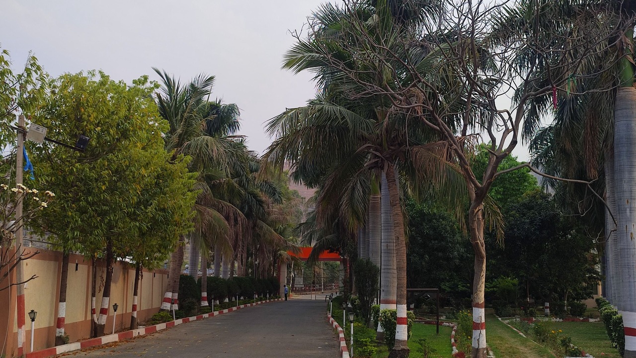 Photo of Outdoor in Rajgir