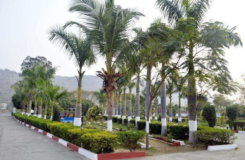 Photo of Outdoor in Rajgir