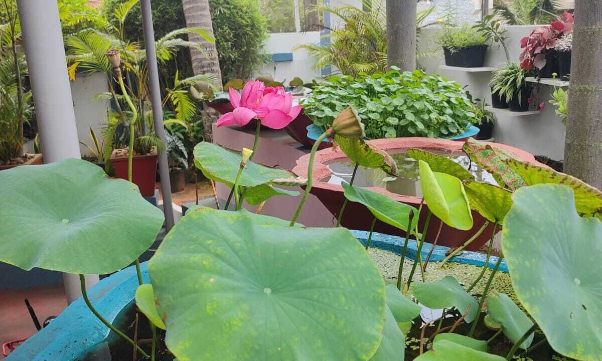 Photo of Outdoor in Thiruvananthapuram