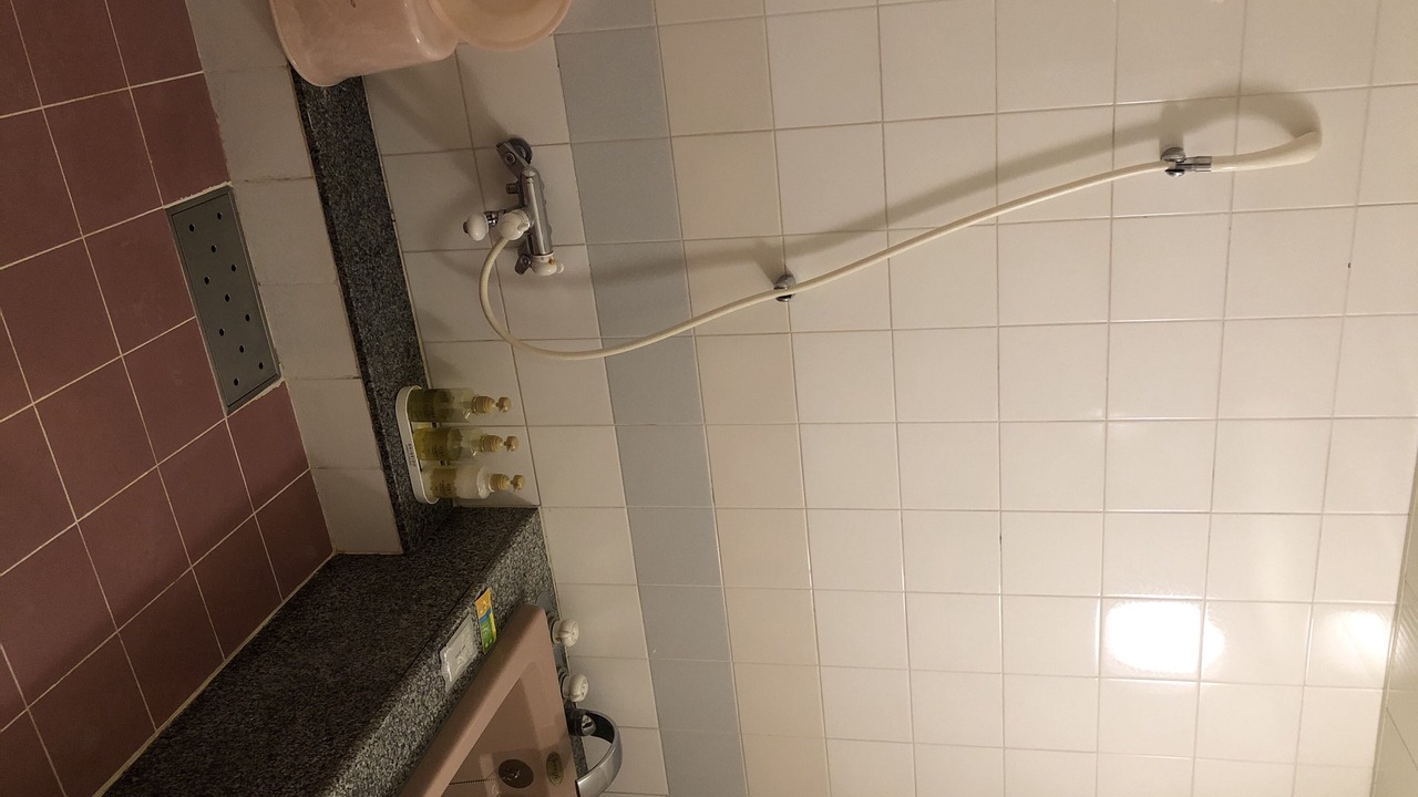Photo of Bathroom in Izumi