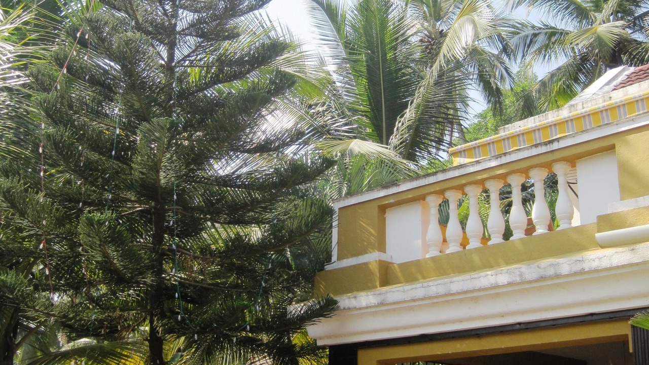 Photo of Outdoor in Betalbatim