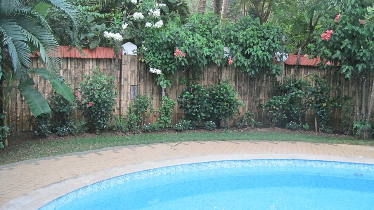 Photo of Outdoor in Betalbatim