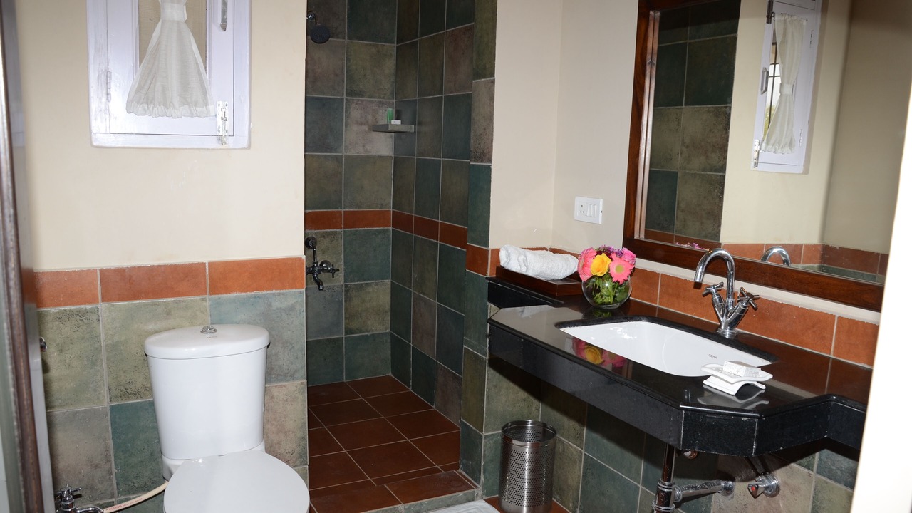 Photo of Bathroom in Bedla