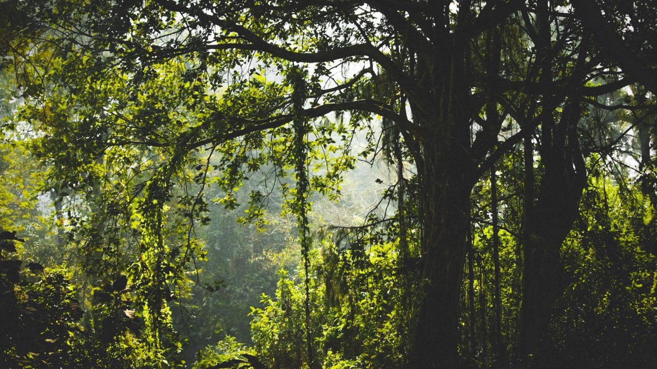Photo of Outdoor in Tumari