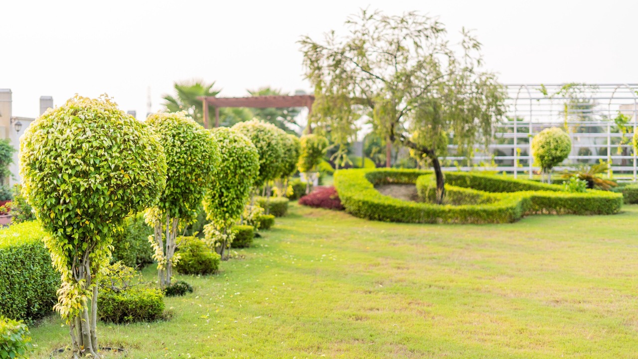 Photo of Outdoor in Gorakhpur
