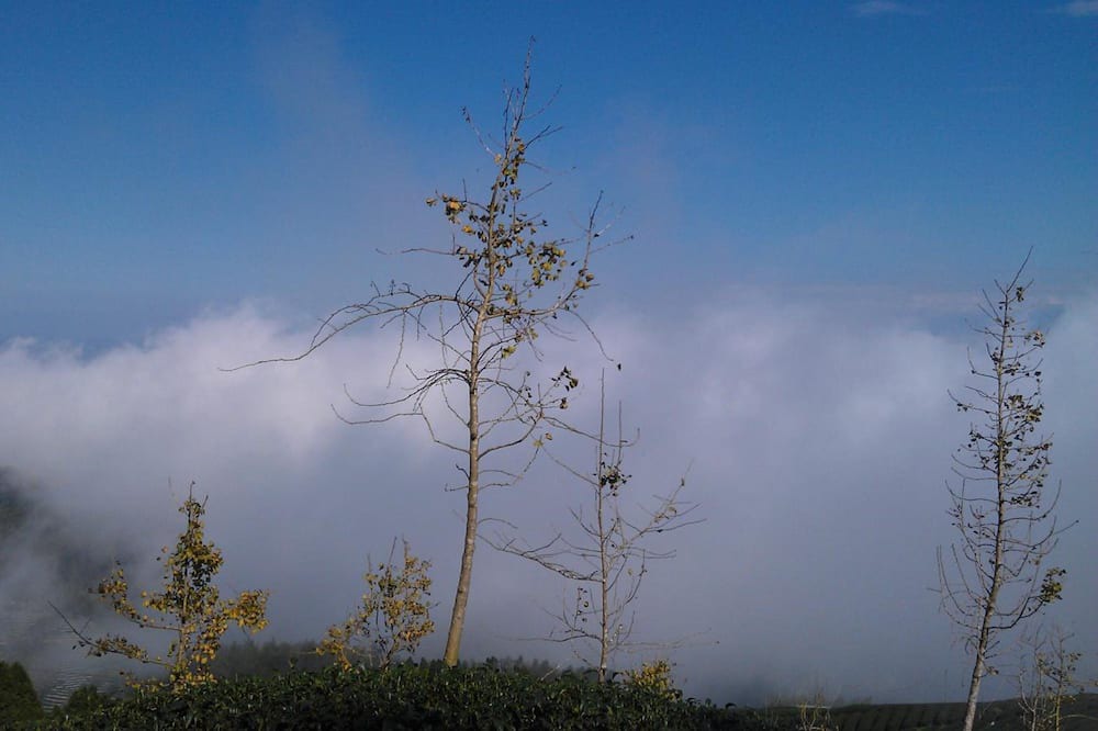 Photo of Outdoor in Xitou