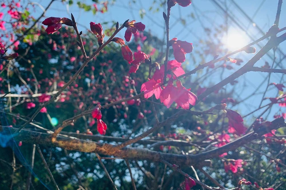 Photo of Outdoor in Yuchi