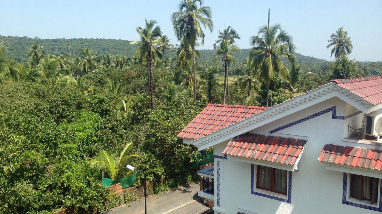 Photo of Outdoor in Siolim