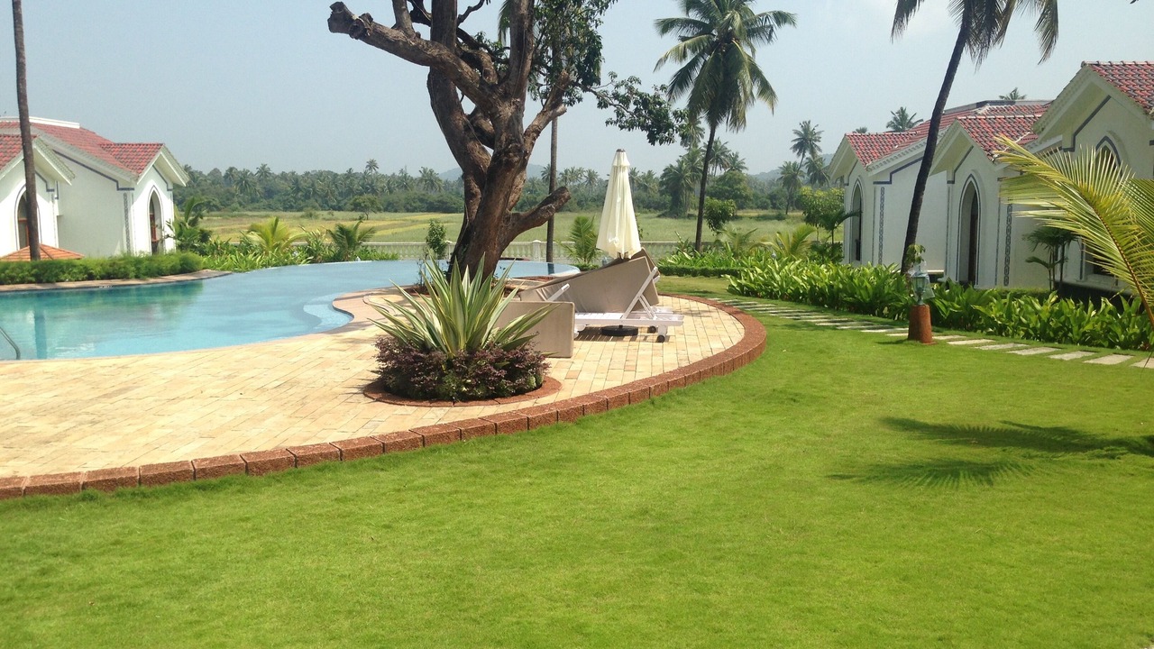 Photo of Outdoor in Siolim