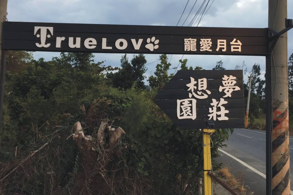 Photo of Others in Shanjiao