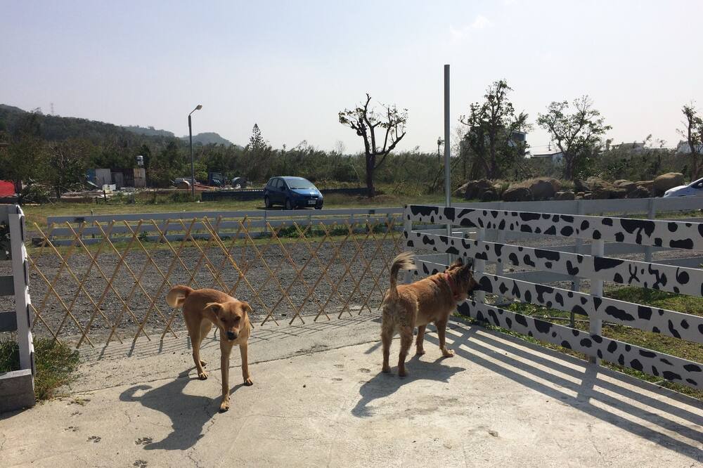 Photo of Others in Shanjiao