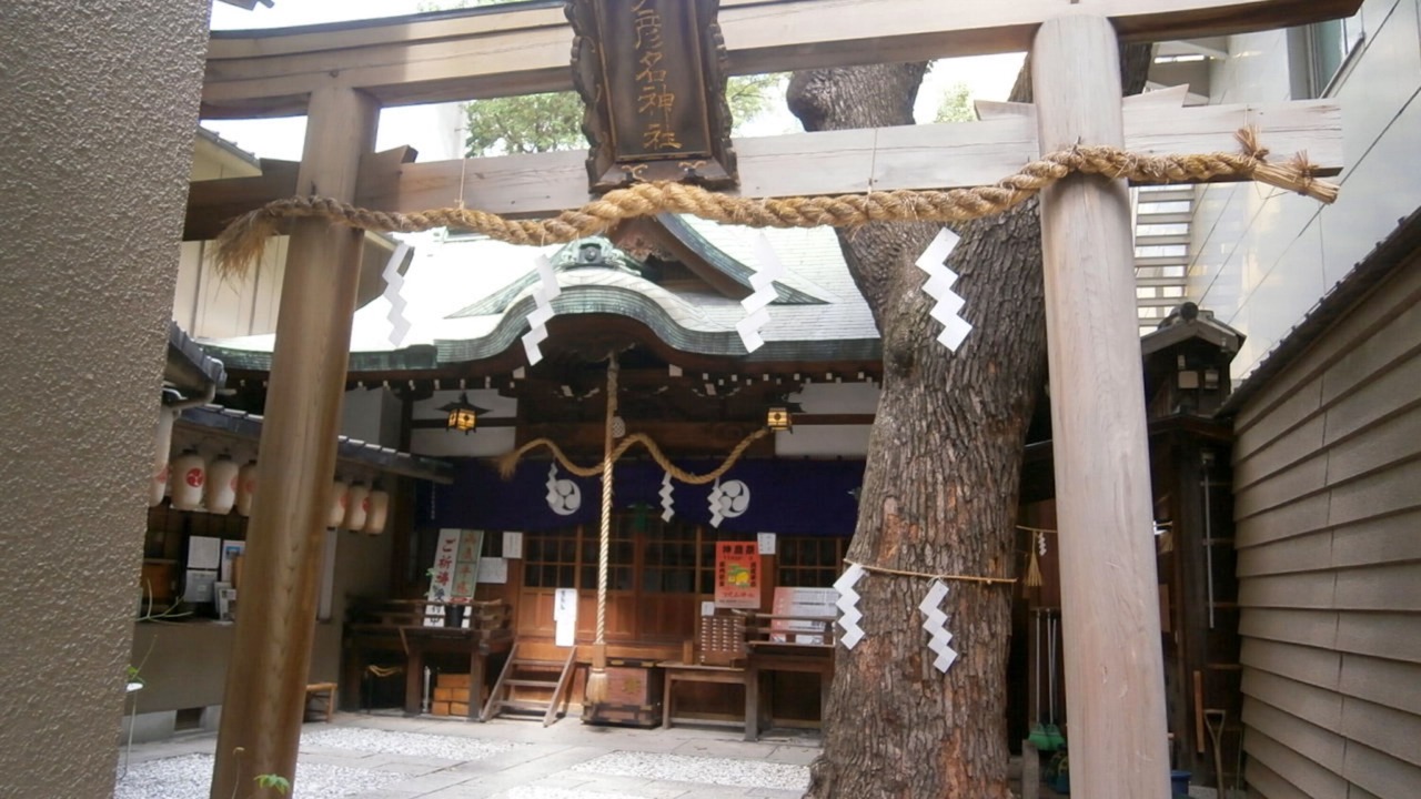 Photo of Others in Chuo
